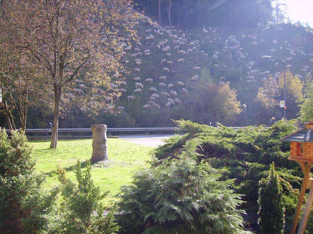 Schatz'N Hof Pottenstein Exteriör bild